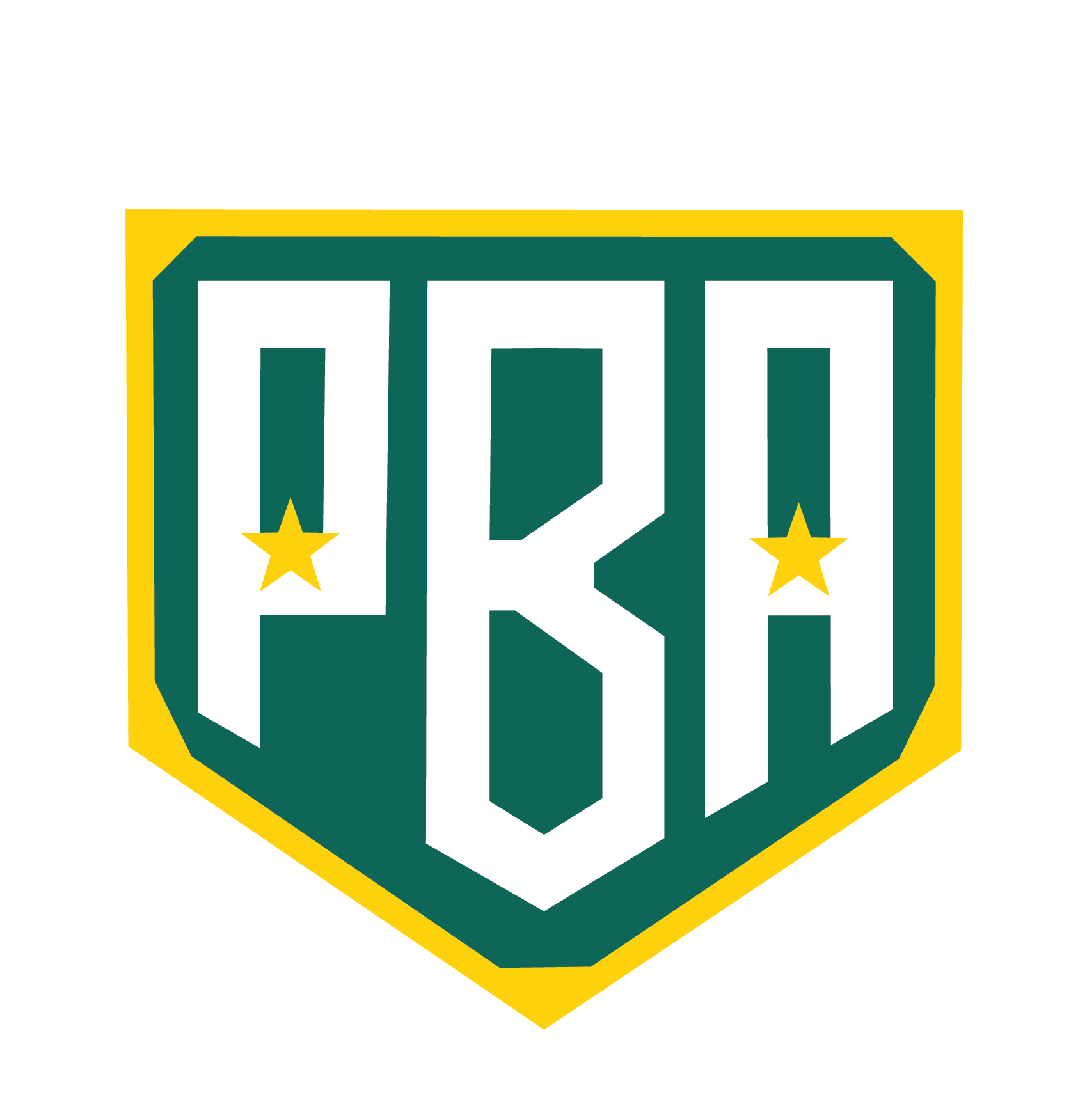 Pioneer Baseball Academy